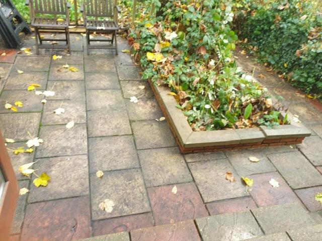 2 Bed Garden Flat West Dulwich Free Street Parking Apartment London Ngoại thất bức ảnh